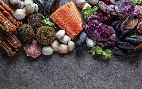 Food, Food, PACIFIC SEAFOOD. Fresh salmon, crabs ostions clams mussels, seaweed cochayuyo, sea urchins. Food background with copy space