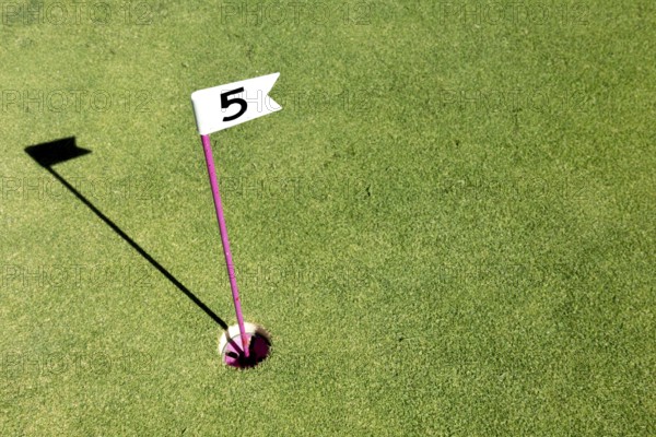 Hole marked with small flag at the mini golf area. Number flag on a mini golf course