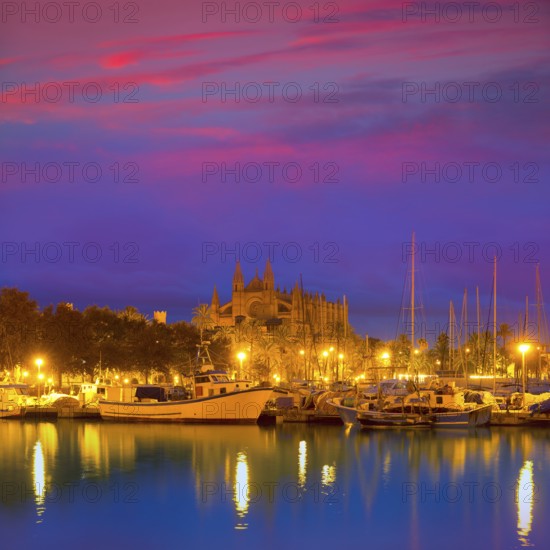 Palma de Mallorca sunrise with Cathedral and port in Majorca Balearic islands of spain