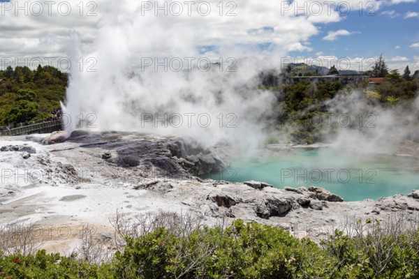 An image of a Geyser in New Zealand Rotorua