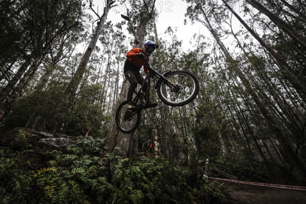 MAYDENA, AUSTRALIA, FEBRUARY 23: Riders during seeding in Red Bull Hardline Tasmania on February 23, 2024 in Maydena, Australia, Oceania