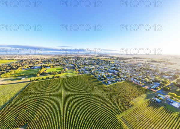 Autumn sunset around the rural country town of Penola in the Coonawarra wine region in South Australia, Australia, Oceania