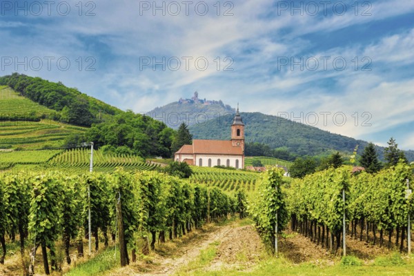 Oschwiller with a view of the royal castle