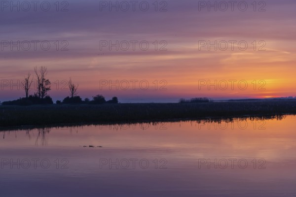 Biebrza National Park, sunrise, morning mood, wetland, river, Poland, Europe