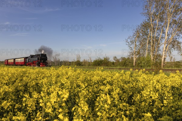 Selketal railway between Quedlinburg and Gernrode