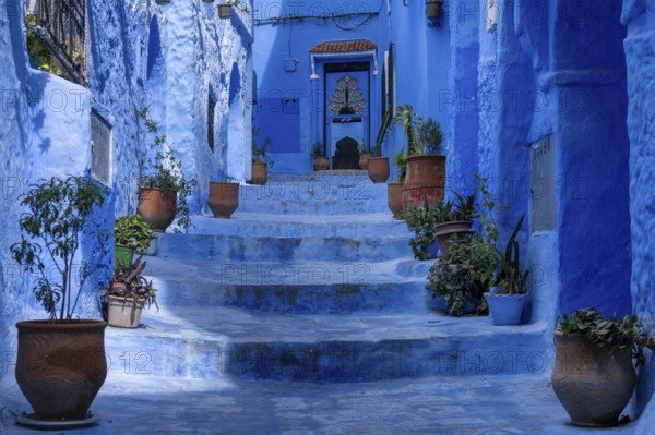 Chefchaouen, Morocco, 2 March, 2024: stairs with potted plants lead up to a house door in the blue city of Chefchaouen, Africa