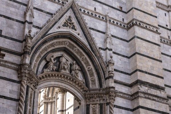 Portal decoration of the aisle enlarged transept of the Siena cathedral, Italy, Europe