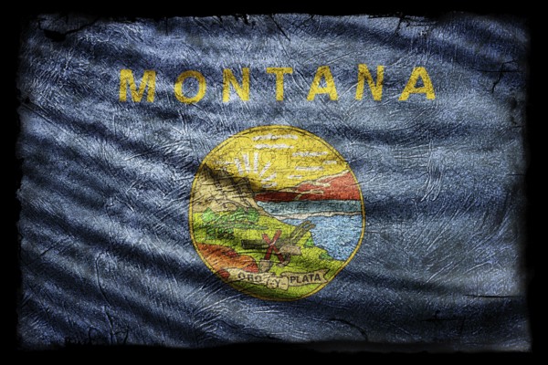 Montana Flag, Grunge Texture Background