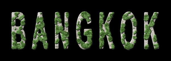 Bangkok Reforestation and Biophilia, Bangkok Green Typography