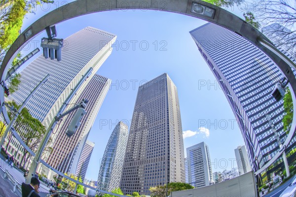 Fresh green of Shinjuku. Shooting Location: Tokyo metropolitan area