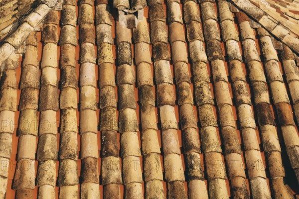 The texture of the old brown shingles on the roof of the building.