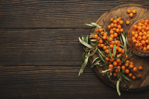 Sea buckthorn ripe berries in glass jar and branches with leaves top view on dark wooden rustic background, great for skin, heart, vessels and immune system. Copy space, food photography, food photography
