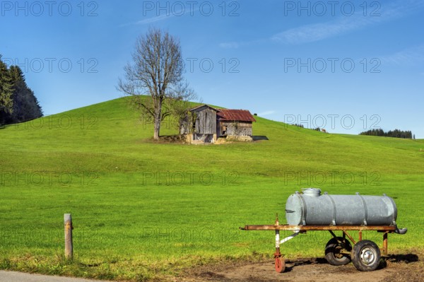 Barn on a green meadow, water tank as a cattle trough, blue sky, near Muderbolz Allgäu, Bavaria, Germany, Europe