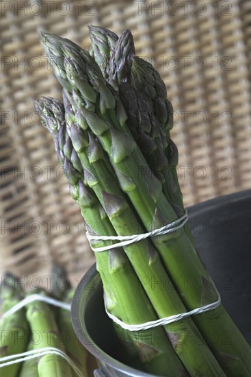 A bunch of green asparagus in a saucepan