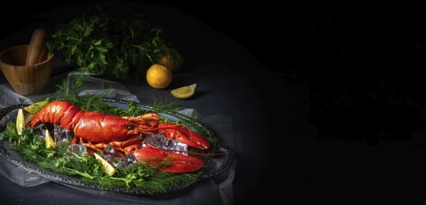 The cooked lobster on ice