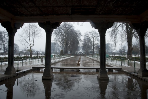 Snowfall, shalimar garden, srinagar, kashmir, india, asia
