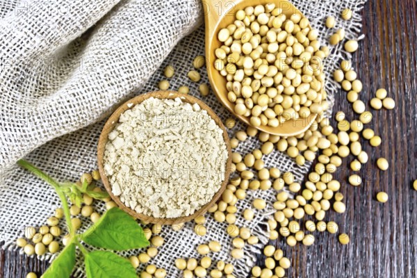 Soy flour in the bowl, soybeans in a spoon and on sackcloth, green soya leaf on a wooden board background from above
