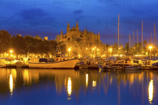 Palma de Mallorca sunrise with Cathedral and port in Majorca Balearic islands of spain