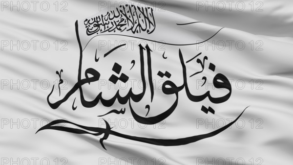 The Sham Legion Flag, Closeup View