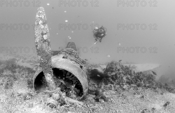 Nakajima B5N2 Kate torpedo bomber and diver, Papua New Guinea, New Ireland, Kavieng, Oceania