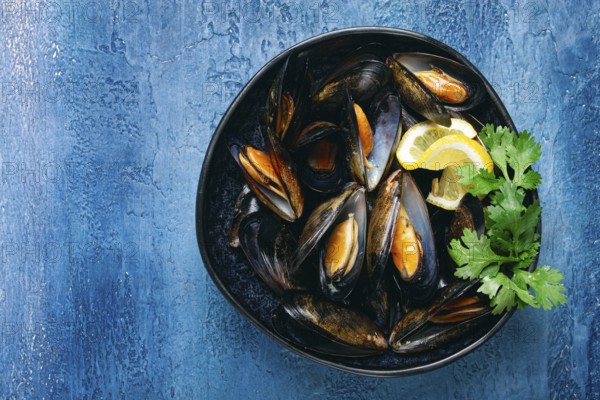 Mussels in shells, boiled in their own juice, in a bowl, blue background, top view, homemade, no people