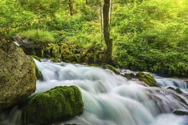 Fast river flowing in the forest of Montenegro