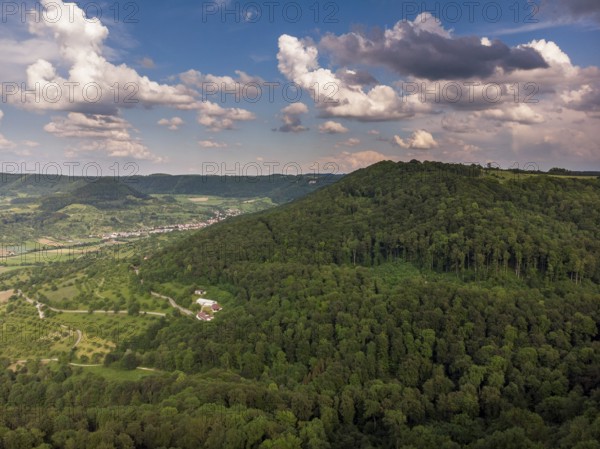 Forest landscape from the air