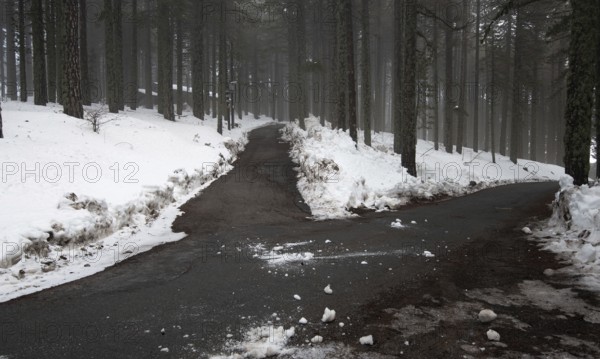 Winter forest landscape with mountain covered in snow and empty frozen road. Troodos mountains in Cyprus