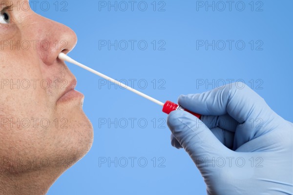 Doctor performs a nasal swab test with a cotton swab