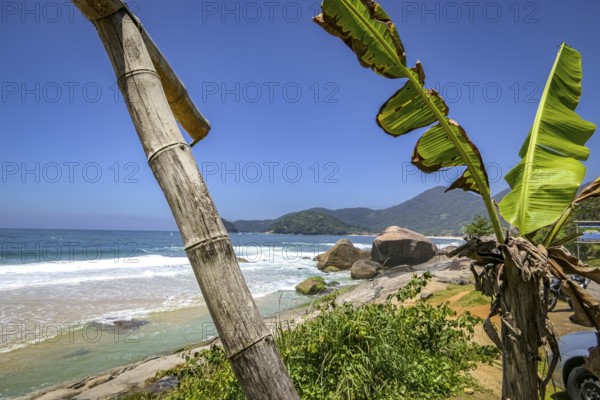 View along beautiful coastline with beach and rock slabs plants in foreground, Picinguaba, Brazil, South America