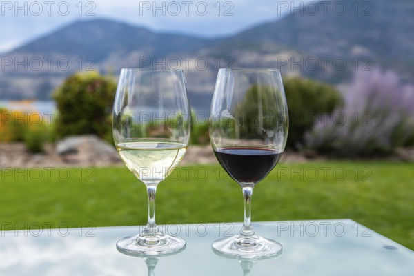 Pair of wine glasses filled with red and white wines, selective focus and close up view against yard on Okanagan Lake and mountains background