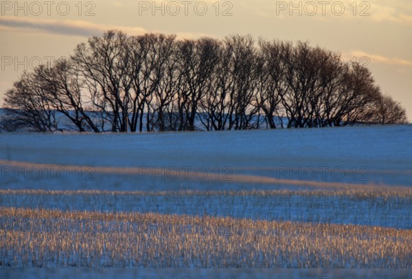 Saskatchewan plains winter extreme cold prairie scenic