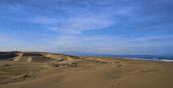Delta del Ebro Ebre beach Punta del Fangar in Tarragona Costa Dorada Deltebre
