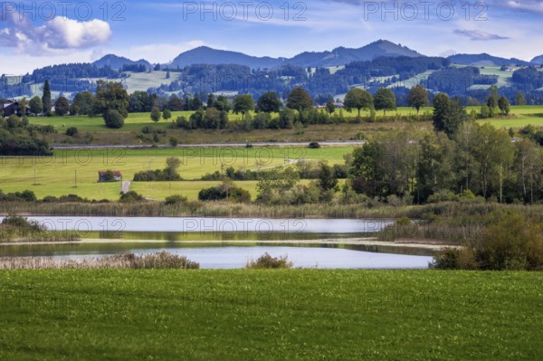 Niedersonthofener See, an idyllic lake in the Allgäu (Bavaria, Germany)