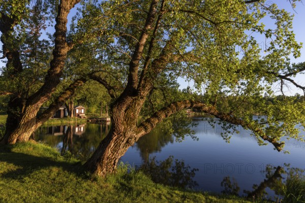 Lake Treuer neighbouring pond Harzgerode Straßberg