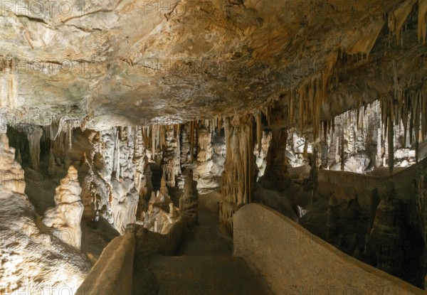 Campanet, Spain, 27 January, 2024: view of the rock formations inside the Campanet Caves in northern Mallorca, Europe
