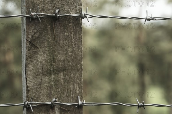 Barbed wire on a wooden post
