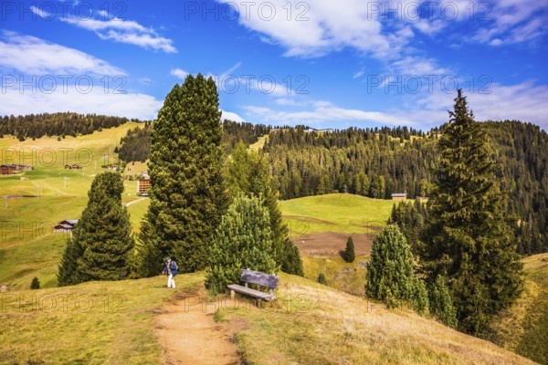Lovely hills and valleys in the Alps di Siusi. Woman- tourist with backpack on footpath. The concept of an active and eco-tourism