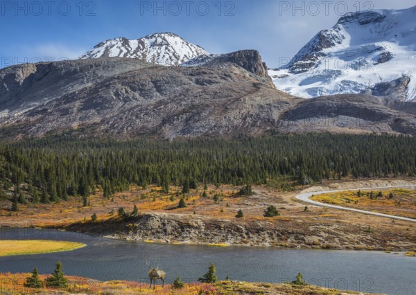The magnificent Rocky Mountains in Canada. Lake from the melting of huge glaciers. Beautiful deer antlered