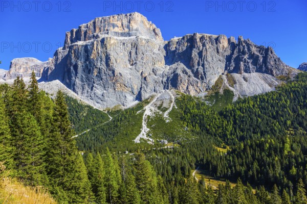 Colossal white and gray rocks against the blue sky. The most beautiful route in the Italian Dolomites. The coniferous forests. The concept of active and car tourism