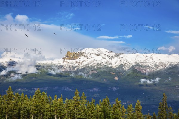 Canadian Rockies. Beautiful September day. Magnificent views of the snow-capped mountain peaks