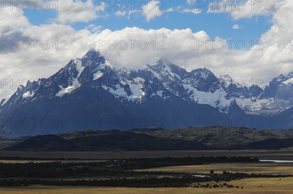 DSC_2763.jpg, Puerto Natales, Chile, South America