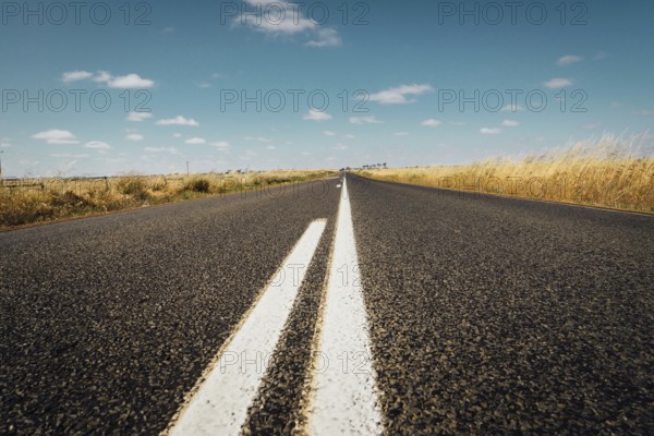 Asphalt road on Westen Australia .agricultural, agriculture, australia, australian, backgrounds, barley, blue, bread, bright, cereal, cleanup, clear, cloud, clouds, cloudy, color, conservation, cop, crop, crops, cultivated, day, dry, farm, farming, fertile, field, food, foreground, gold, golden, grain, growth, harvest, harvesting, head, hill, horizon, image, infinity, landscape, landscapes, nature, outdoors, paddock, perfection, plants, productive, ripe, rural, rye, scene, seed, sky, stalk, stem, summer, sunlight, sunny, travel, vibrant, wheat, yellow