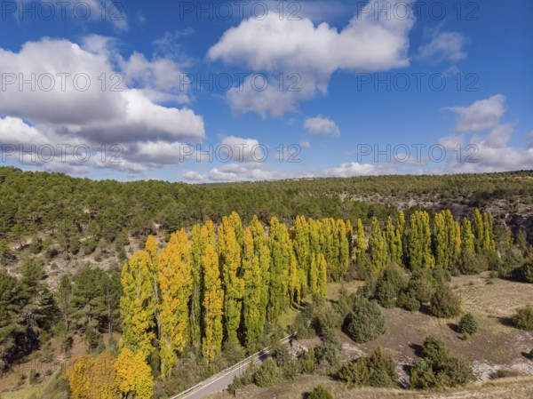 Las Hoces del Río Duratón Natural Park, Segovia province, Spain, Europe