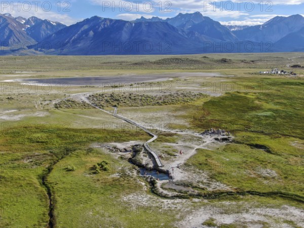 Aerial view of herd of cows in green meadow with mountain on the background. Cows cattle grazing on a mountain pasture next the Lake Crowley, Eastern Sierra, Mono County, California, USA, North America