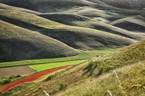 The sun, when it rises behind Mount Vettore, creates a light-shadow effect in the hills below