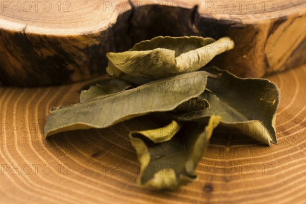 Cassia leaves