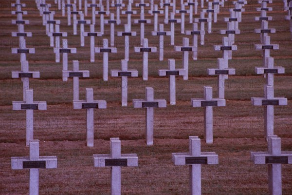 France: Soldier cementary with thousand of crosses