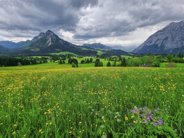 Summer austrian landscape with green meadows and impressive mountains, view from small alpine village Tauplitz, Styria region, Austria, Europe