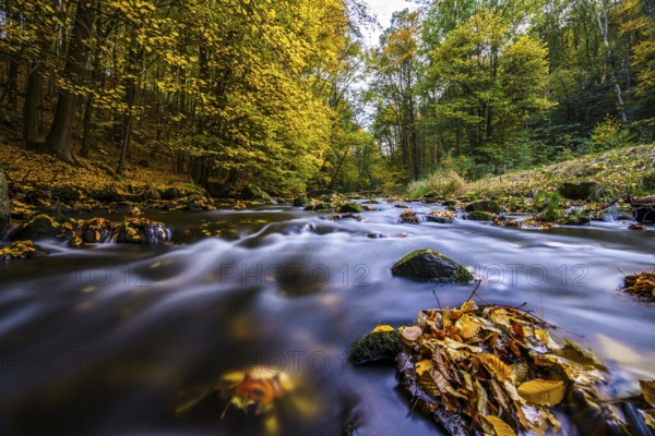 Autumn magic on a river landscape in Lusatia - the Löbauer Wasser 13